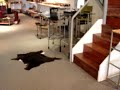 all about leather   designs furniture