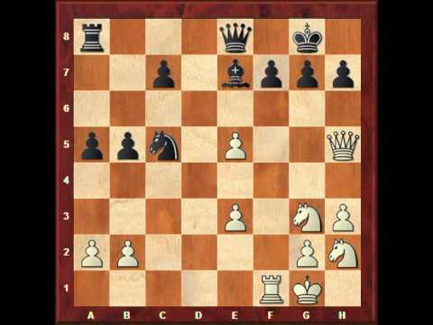 chess knight chess knight