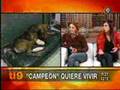 Campeon - Canal 9 - 26/5