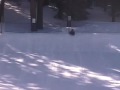 FIRST TIME - in the snow!