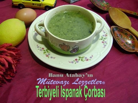 terbiyeli