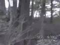 Speedytoys.com Video # 2