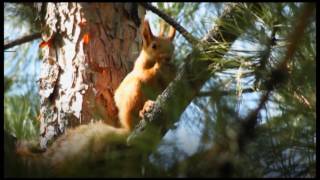 Новости короткой строкой