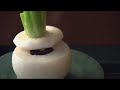 Japan Tourism Video - Soulful Japan 2