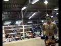 videos de Dawtrang (Tiger Muay Thai) vs Okee (Krabi) @ Patong, Phuket, Thailand 1st round KO