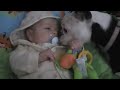 Luca and Lola playing with froggie 11 weeks