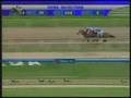 videos de Gran Premio Unicria 2008 - Version Hembras