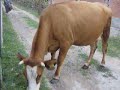 bizim m��