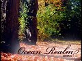 Airbase - Ocean Realm
