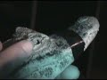 How to take a crocodile/C�mo agarrar un cocodrilo
