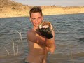 Catfish fishing Caspe (Mequinenza, Spain) \