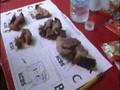 Felda judges