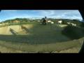 videos de trever