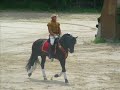 Le Puy du Fou Le Puy du Fou