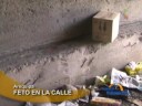 videos de Hallan feto de siete meses frente a oficinas de SEDAPAR, en Arequipa