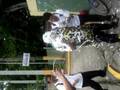 videos de Einstein Reposteria cumple valdo