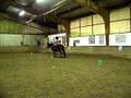 videos de 22.11.08