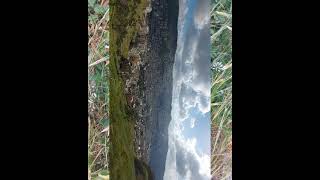  | موسوعة التراث الفلسطيني