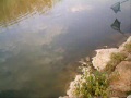 alxbarbero: Pesca valencia - pesca en fortaleny