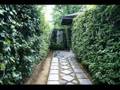 20070818_京都, Vivaldi 調和の霊感 第6番