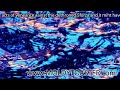 acts of veneance aainst the dethroned Sforza and it miht ha.mov
