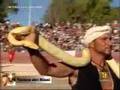 Oria, Torneo dei rioni 2008: le gare in diretta [p.02/13]