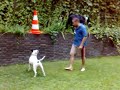 espacio perruno