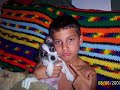 Pets & Family Pets & Family