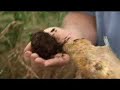 www.HippyGourmet.com http In this segment from Organic Living TV with the Hippy Gourmet we meet up with the Ehrlich's, Katy and John - who are the owners of Alderlea Farm. Here we learn how their small 4+ acre land is organically and bio-dynamically tended to feed over 75 families in their Community Supported Agriculture (CSA) program! Then we learn first-hand what a 'bio-dynamic' stir is, and how it actually increases the fertility of the soil and enhance the nutrition and flavor of all the ...