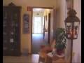 videos de Hotel Pension Maintal Mainleus im Landkreis Kulmbach in Oberfranken