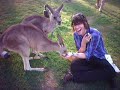 Adam Lazzara - What Girls' Dreams Are Made Of