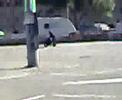 reggio calabria giornata in minimoto io e cecio