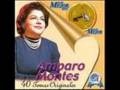 AMPARO MONTES - RIMEL, CRUCIGRAMA