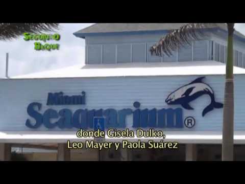 Programa 73, Apertura y Miami