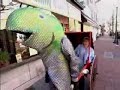 Brandon Dicamillo Sushi Fish