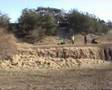 randonn-e-16-02-08