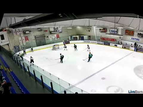2024 OJHL Combine - Team Teal #17 - Marcus Carter Highlights