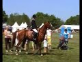 De Wijk \"Pinksterconcours\" De Wijk \"Pinksterconcours\"