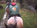 Cumbrian Heavy Horses