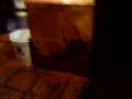 Sapão.3gp