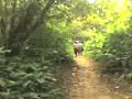 Trilhaa