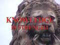 John-Purdue-Mystery-