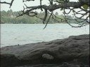 Vanuatu Travel Doc Part 09