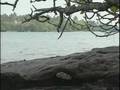 videos de Vanuatu Travel Doc Part 09