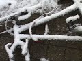 Insolite: la bicylette sous la neige