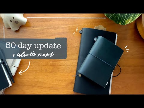 50 Days of Traveler's Notebook Update + the next experiment | LindseyScribbles