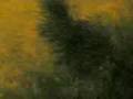 Chiampo-Paradiso-in-