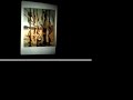 slide show at naked city