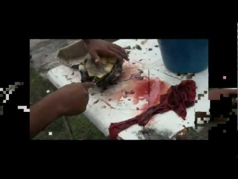 Imagen de previsualización de YouTube