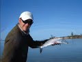 Fly Fishing Everglades Snook And Bahamas Bonefish Fly Fishing Everglades Snook And Bahamas Bonefish